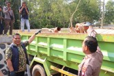 Bongkar Tambang Pasir Ilegal di Batam, Ditreskrimsus Polda Kepri Amankan Tiga Tersangka