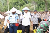 Dukung Ketahanan Pangan, Lahan Pertanian di Batam Ditanami Jagung