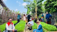 Panen Kangkung Perdana Jadi Momentum KWT Siji Sembada Kembangkan Pertanian Warga