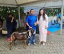 Semarak Iduladha 1447 H, BP Batam Salurkan 33 Hewan Kurban untuk Masyarakat