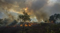 Diselimuti Asap, Kualitas Udara Kota Pekanbaru Alami Penurunan