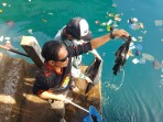 Aksi Bersih Sampah Plastik Kombe-Pantas dalam HUT ke-18 Anambas