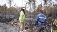 Tinjau Kebakaran Hutan, Ariastuty Imbau Masyarakat Waspadai Setiap Tindakan