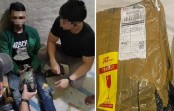 Ditresnarkoba Polda Kepri Gagalkan Peredaran 426 Gram Ganja Jaringan Aceh–Batam, Satu Tersangka Diamankan